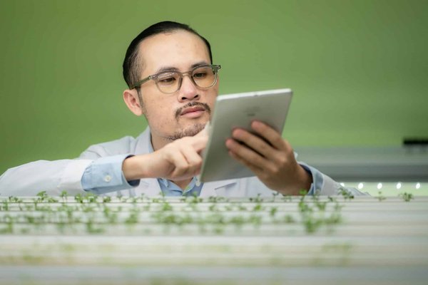 Agricom France : pionnier de l'agriculture régénérative